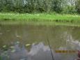 IMG 0020