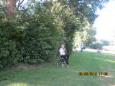 IMG 0008