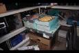 IMG 6417
